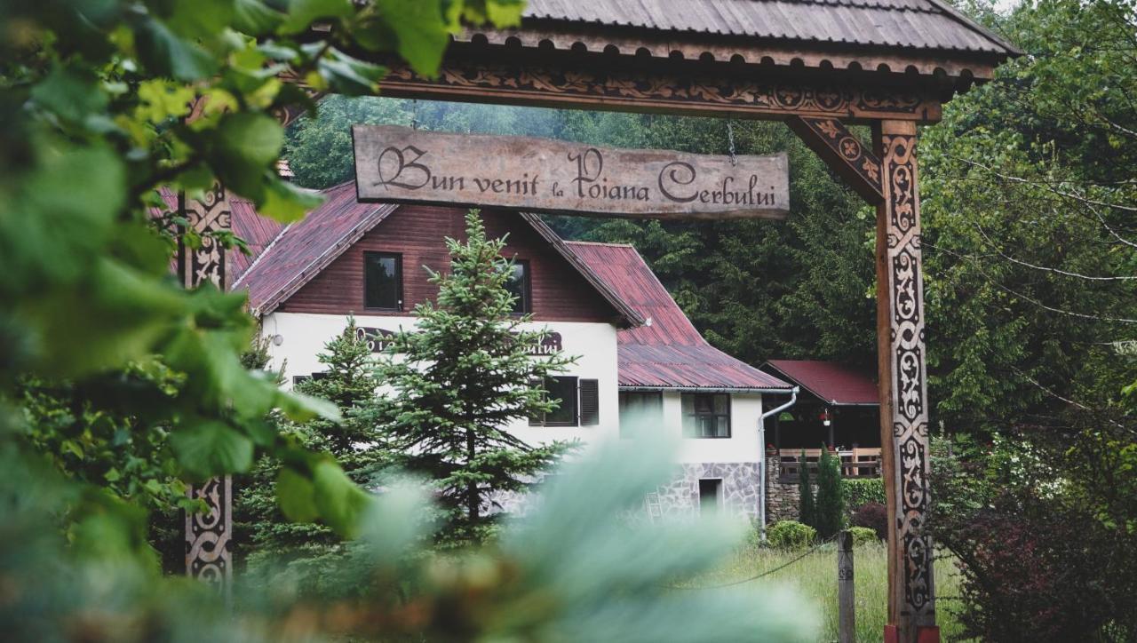 Pensiunea Poiana Cerbului Sighişoara Esterno foto